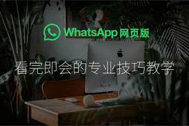 whatsapp 電腦 版 免 安裝