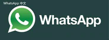 whatsapp update