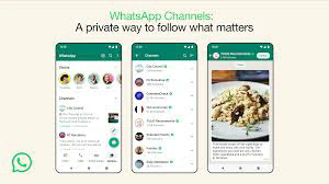 如何安装WhatsApp？