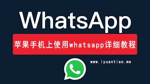 Whatsapp美国客户服务号码